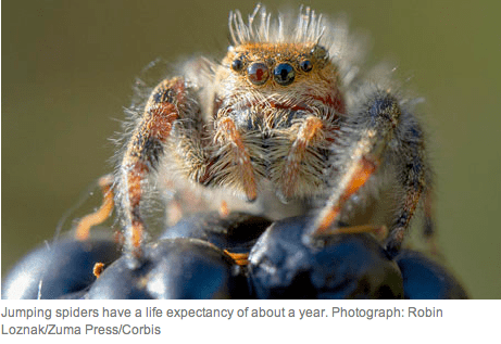 Robin Loznak:Zuma Press