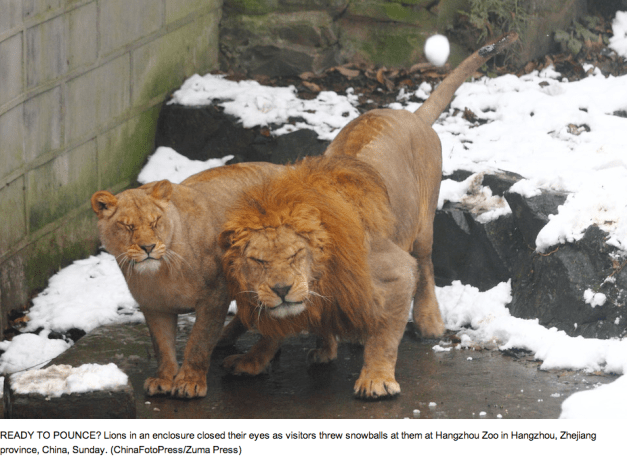 ChinaFotoPress:Zuma Press