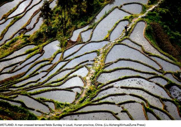 Liu Aicheng:Xinhua:Zuma Press