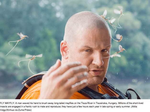 Attila Volgyi:Xinhua via Zuma Press