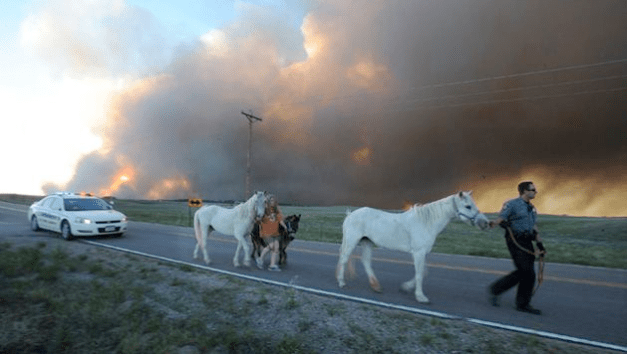 Jerilee Bennett:MCT:ZUMAPRESS