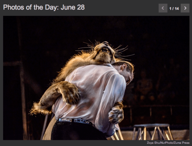 Zoya Shu:NurPhoto:Zuma