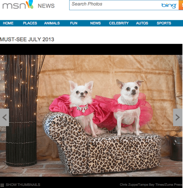 Chris Zuppa:Tampa Bay Times:Zuma Press