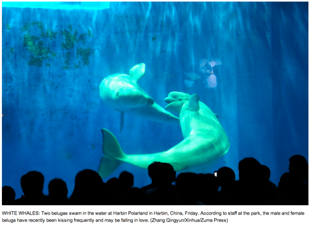 Zhang Qingyun:Xinhua:Zuma Press