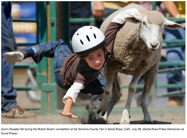 Beth Schlanker:Santa Rosa Press Democrat : ZUMA