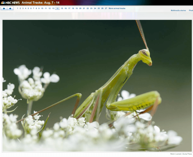 Robin Loznak nbc.com