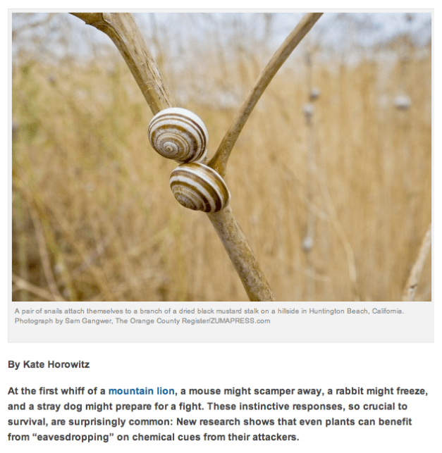 Sam Gangwer:The Orange County Register:ZUMAPRESS.com