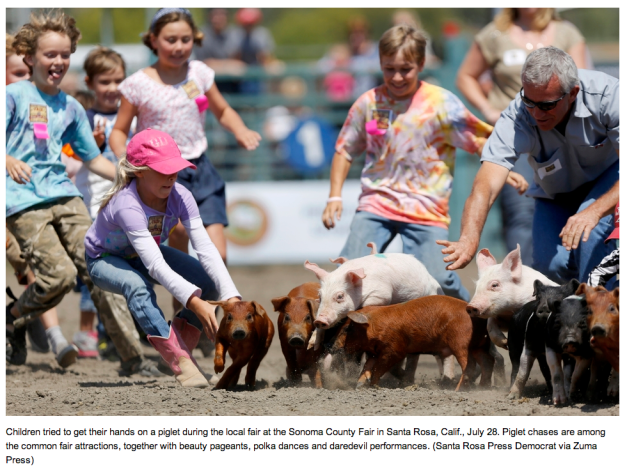 Santa Rosa Press Democrat