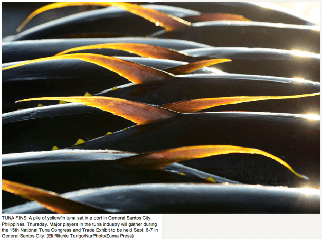 Eli Ritchie Tongo:NurPhoto:Zuma Press