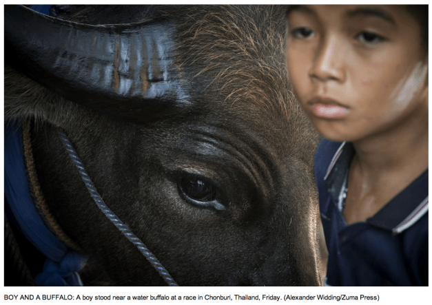 Alexander Widding:Zuma Press