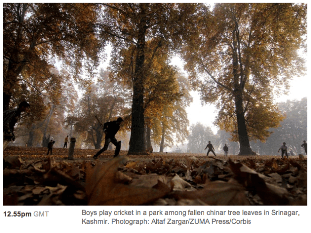 Altaf Zargar:ZUMA Press:Corbis