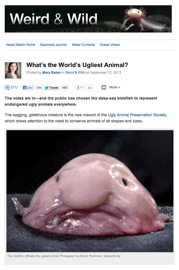 Kerryn Parkinson, Caters:Zuma