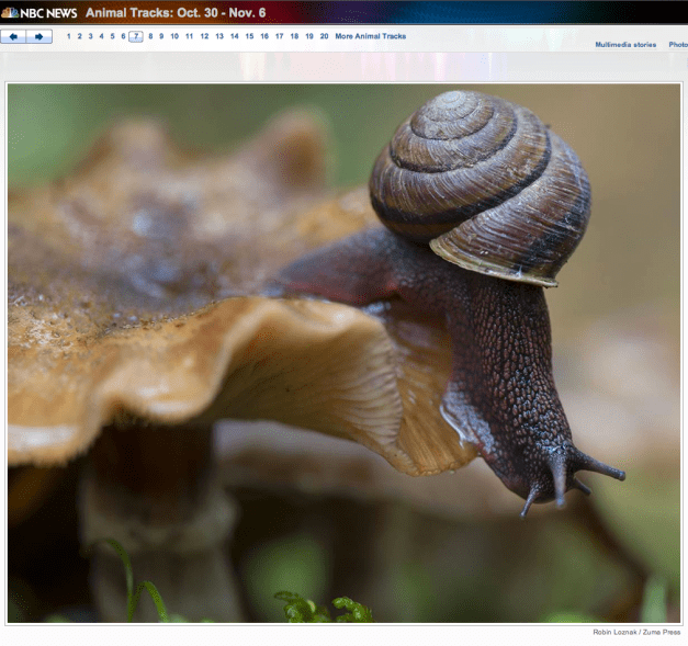 Robin Loznak : Zuma Press