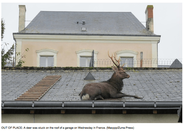 Xavier Roche-Bayard:Maxppp:ZUMAPRESS.com