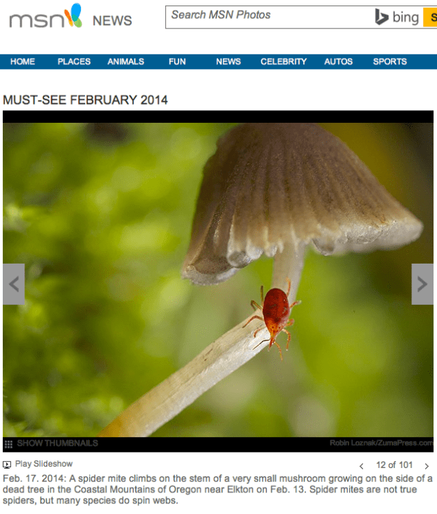 Robin Loznak:ZumaPress.com