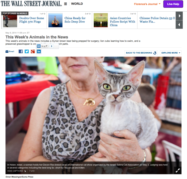 Omer Messinger:Zuma Press