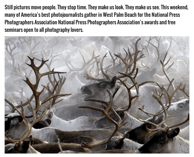 © Lev Fedoseyev:ITAR-TASS:ZUMAPress.com