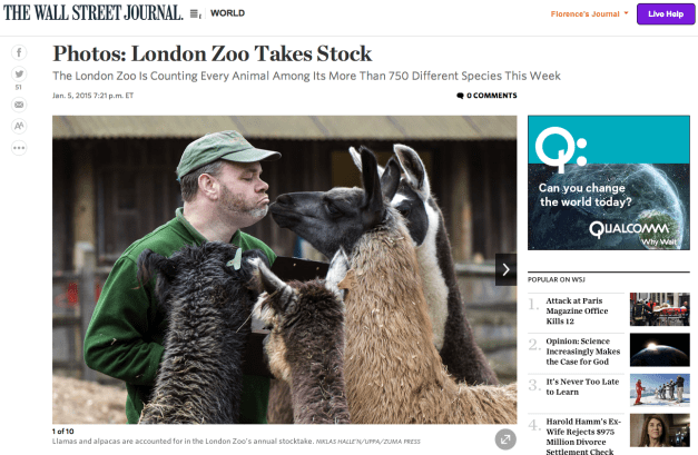 NIKLAS HALLE’N:UPPA:ZUMA PRESS