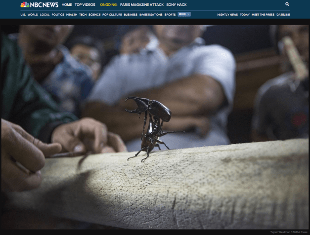 Taylor Weidman : ZUMA Press