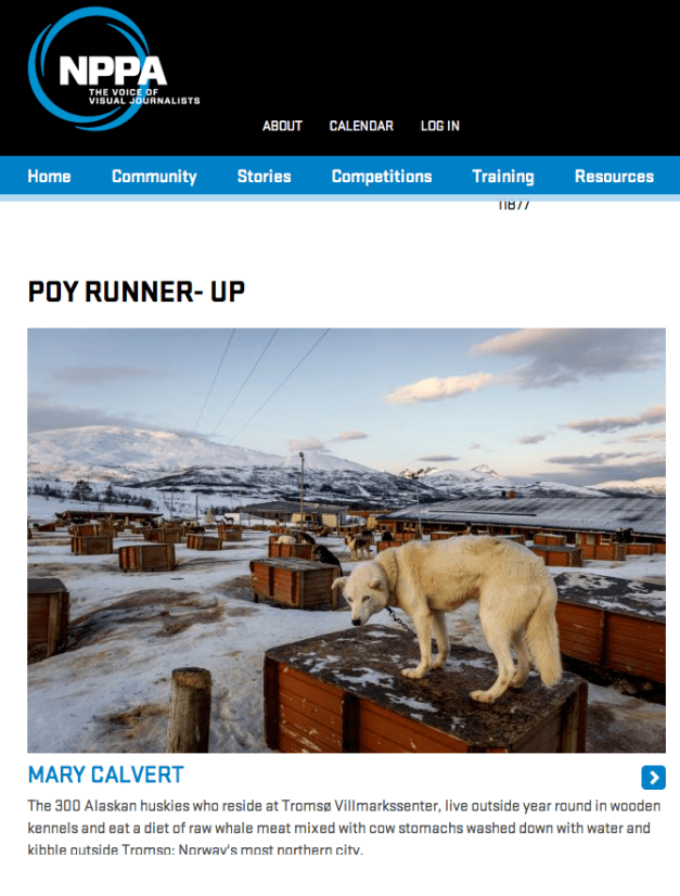 Screen shot 2015-03-11 at 11.59.24 AM