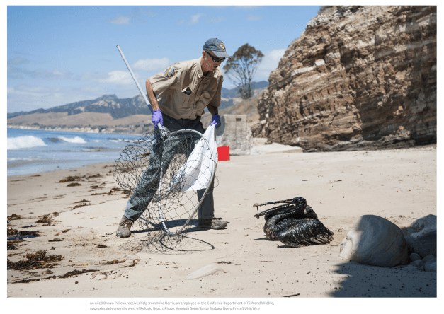 Screen shot 2015-05-26 at 1.55.35 PM