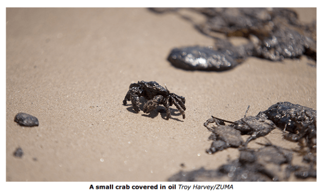 Screen shot 2015-07-15 at 2.31.55 PM