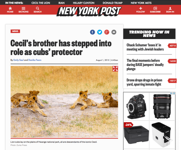 Screen shot 2015-08-04 at 3.23.00 PM