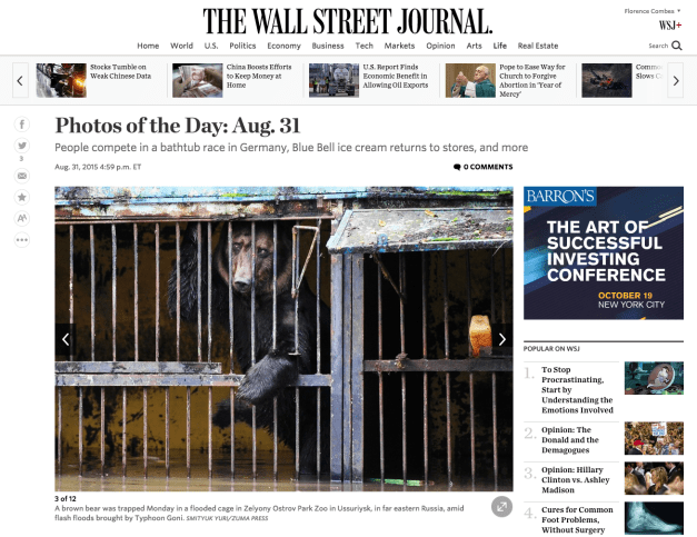 Screen shot 2015-09-01 at 9.34.03 AM