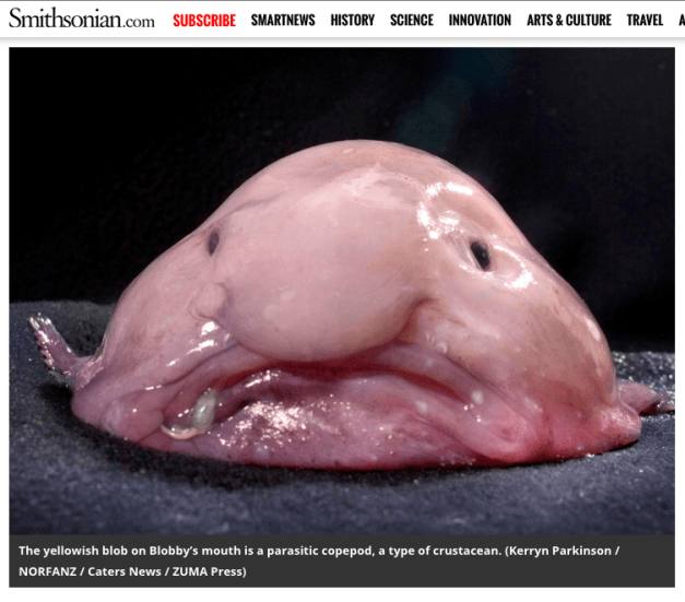 Screen shot 2015-10-21 at 9.11.16 AM