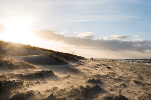 Screen shot 2015-12-24 at 9.54.04 AM