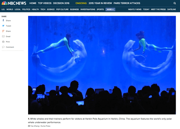 Screen shot 2015-12-31 at 2.43.29 PM