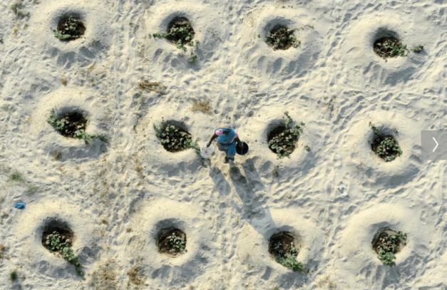 Screen shot 2016-03-01 at 12.30.15 PM