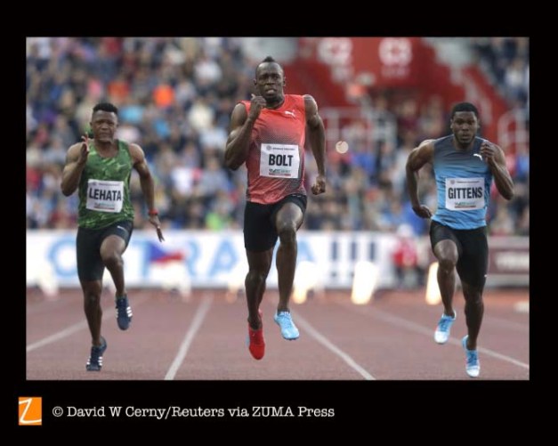 Screen Shot 2016-06-16 7 copy