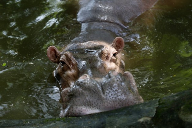 BN-PC830_0726PO_J_20160726230557