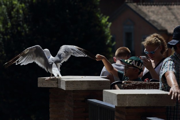 BN-PE400_0729PO_M_20160729160223