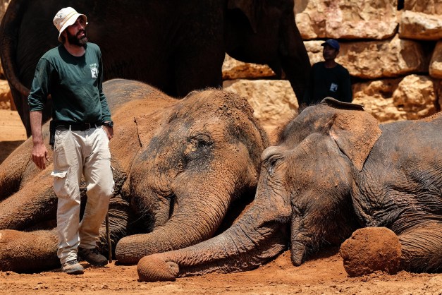 Israel: Summer at Jerusalem Zoo