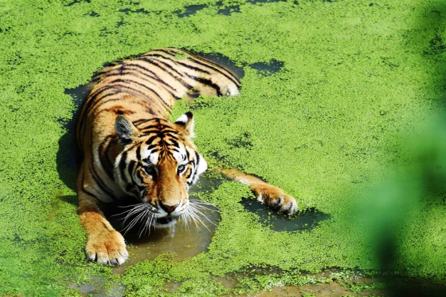 BN-PG483_0804PO_J_20160804231743