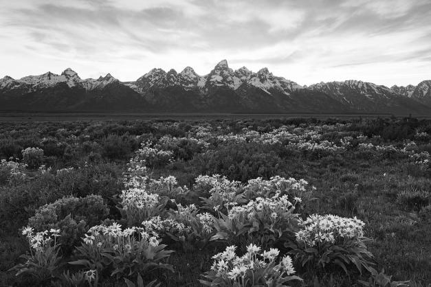 Travel Collection - July 16, 2014