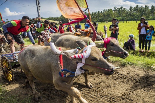 bn-qe422_1010po_m_20161009233920