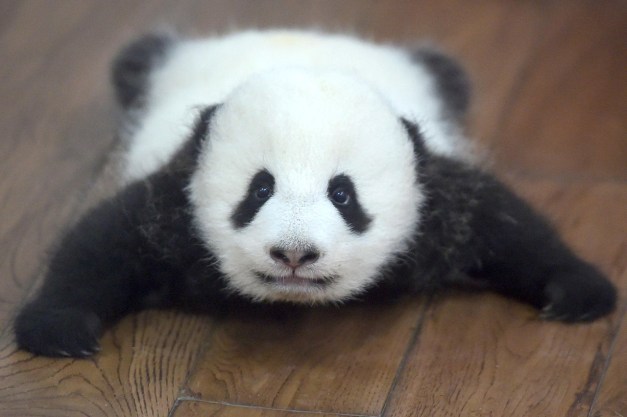 bn-qj145_1020po_m_20161019230649