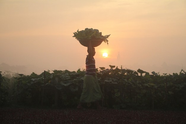 bn-ql533_102516_m_20161025152840