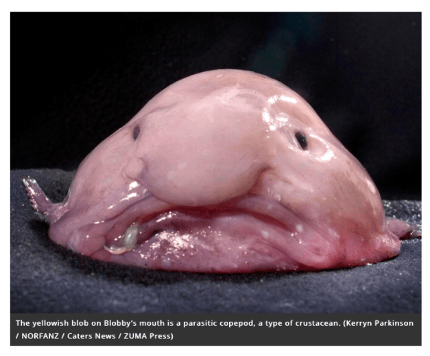 Screen Shot 2017-06-28 at 4.11.23 PM