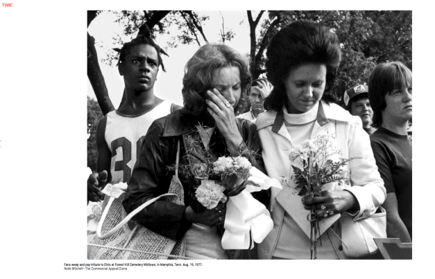 Screen Shot 2017-09-13 at 3.37.02 PM