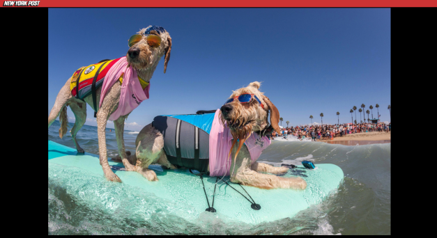 Screen Shot 2017-09-29 at 3.36.08 PM.png