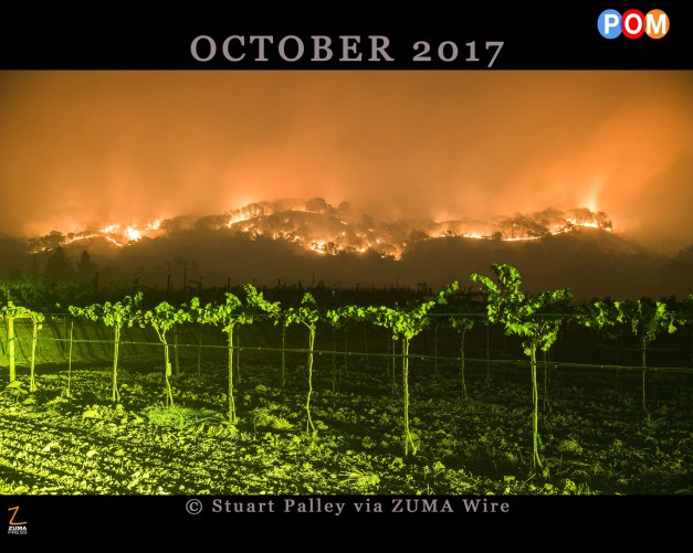 ZUMA Pictures Of the Month: OCTOBER
ZUMA Pictures Of the Month: OCTOBER