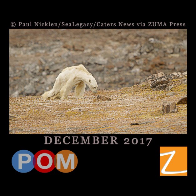 26220874_10215106733252053_4565883226360258526_o