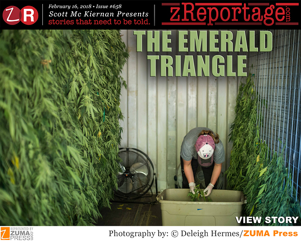 The Emerald Triangle
