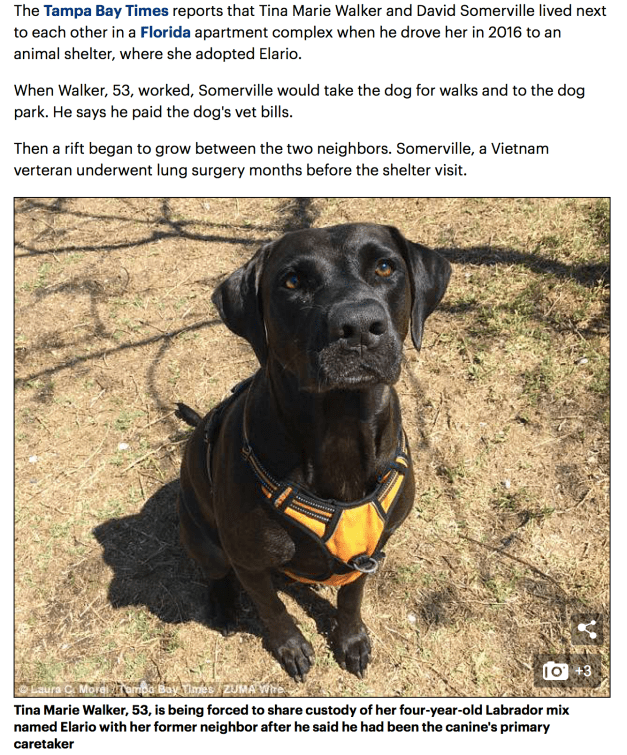 Screen Shot 2018-04-26 at 5.44.08 PM.png