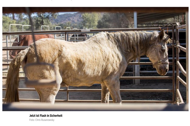 Screen Shot 2018-11-19 at 3.07.16 PM copy