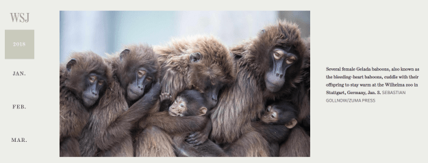 Screen Shot 2018-12-14 at 12.19.13 PM